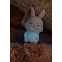 PINCHA RABBIT 54500/01/66